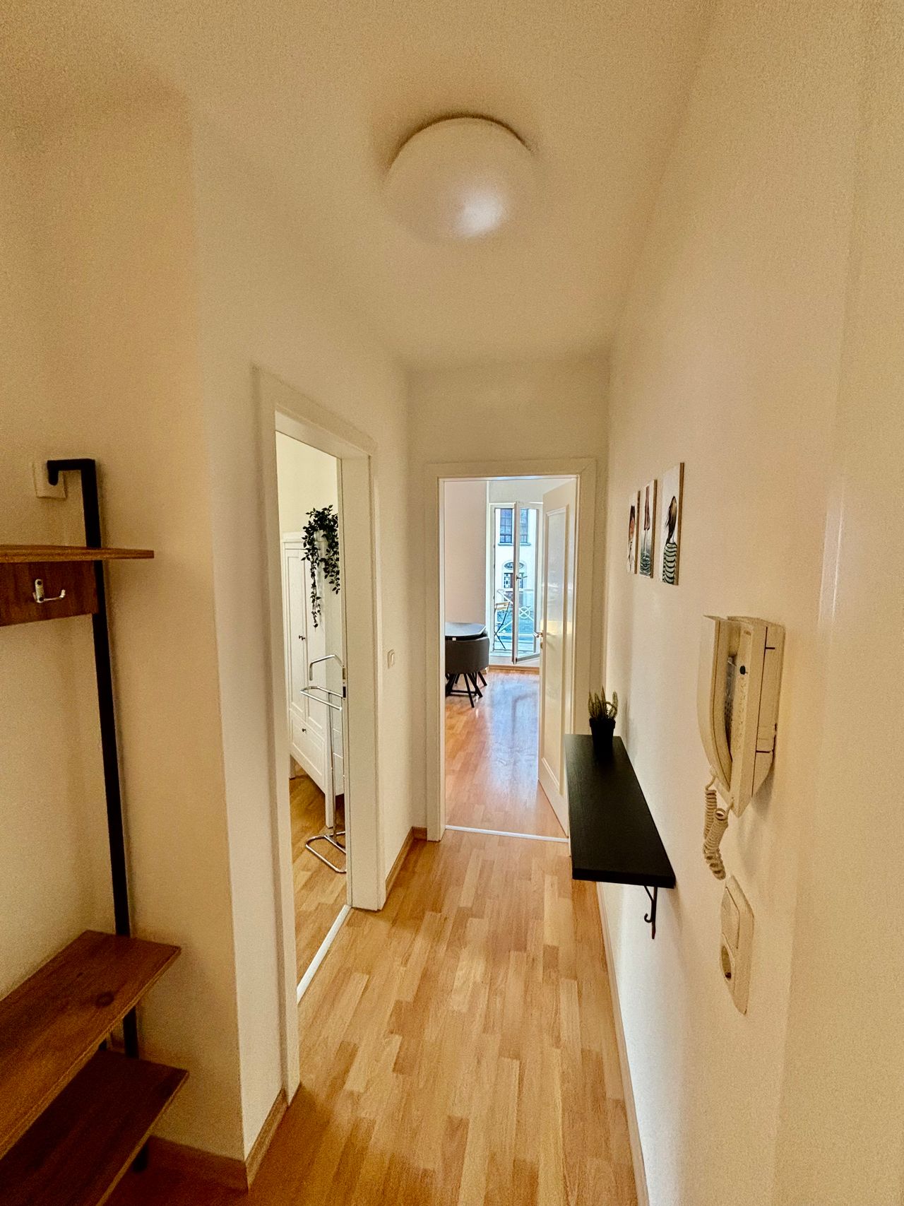Wohnung Glacisstraße in Dresden