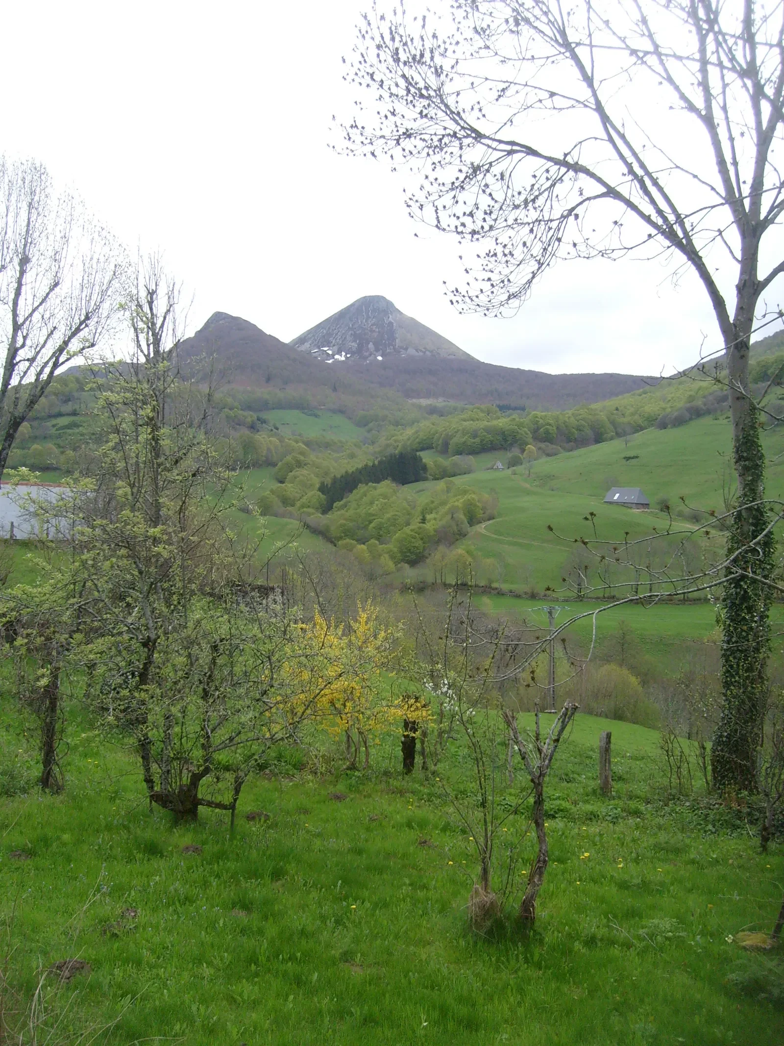 Maison Chemin de Lasteyries à Saint-Julien-de-Jordanne