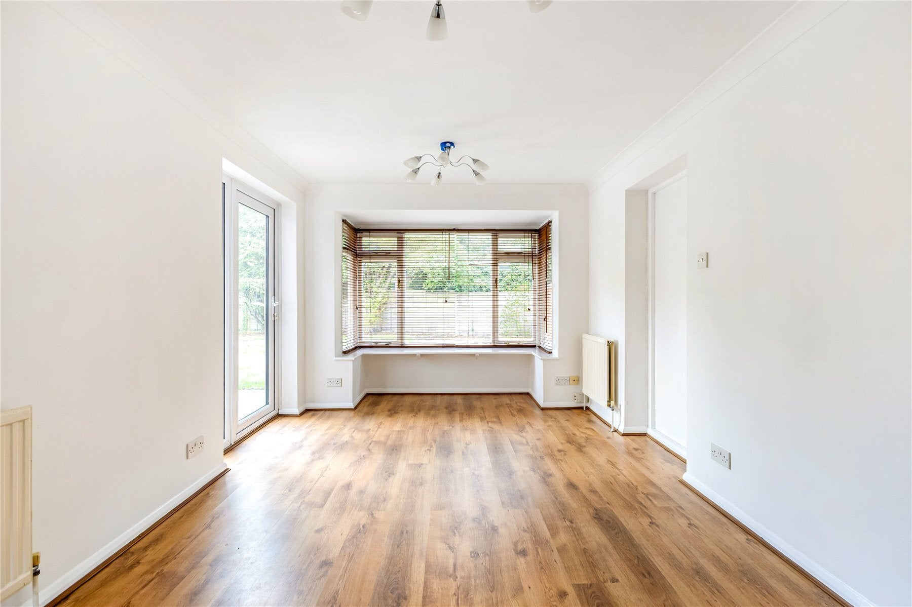 House Conifers in Elmbridge