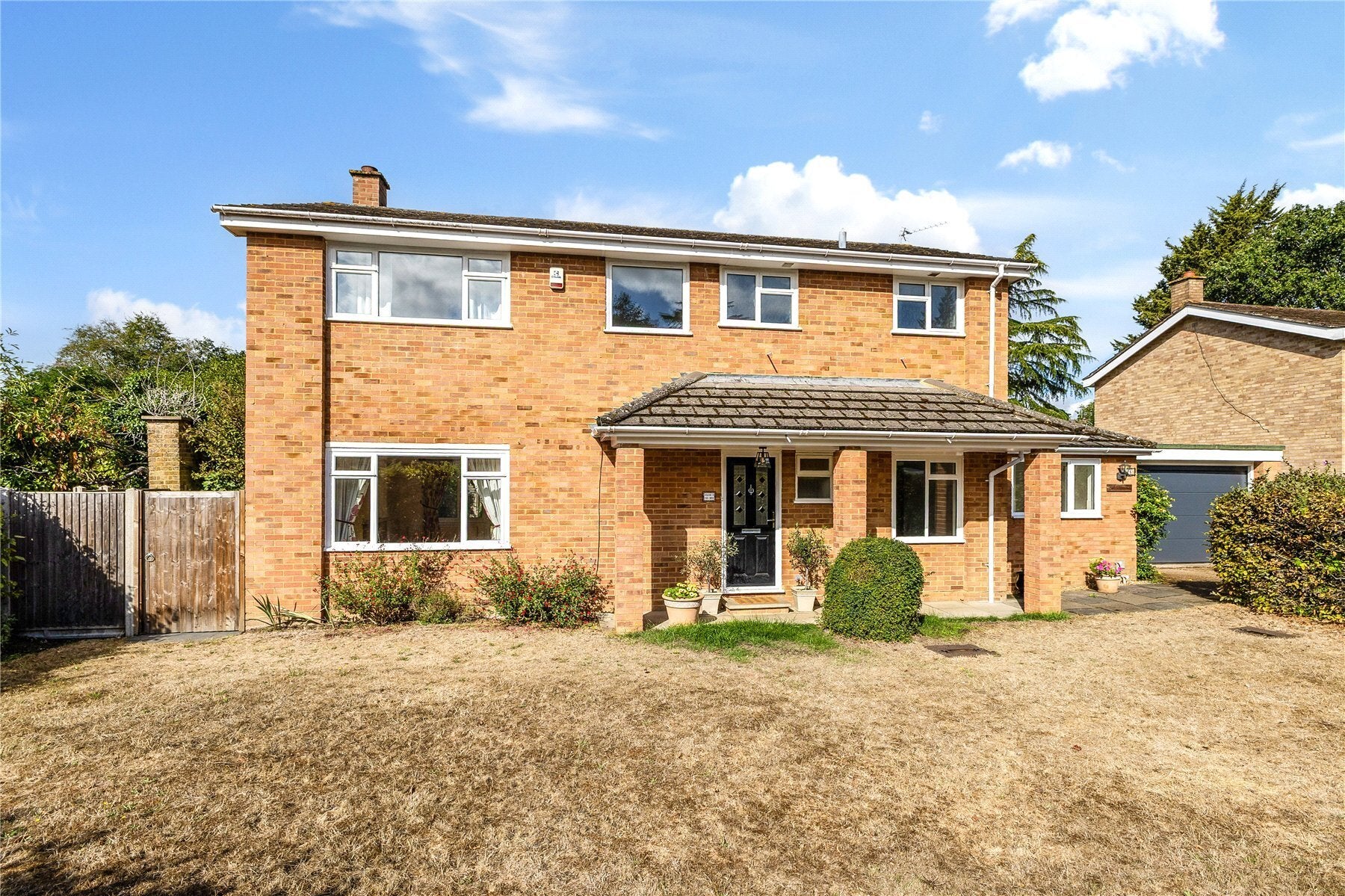House Conifers in Elmbridge