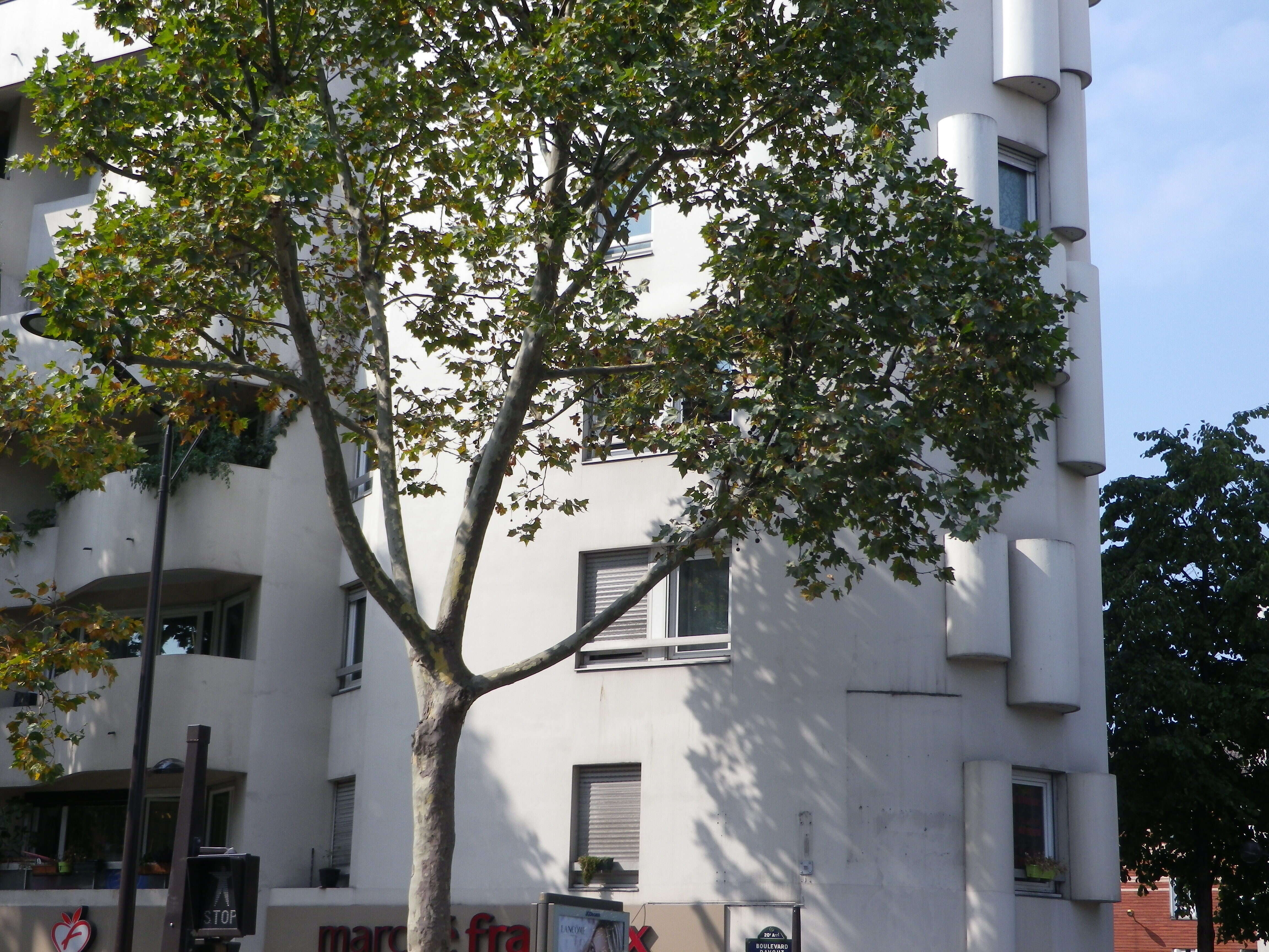 Appartement Boulevard Davout à Paris