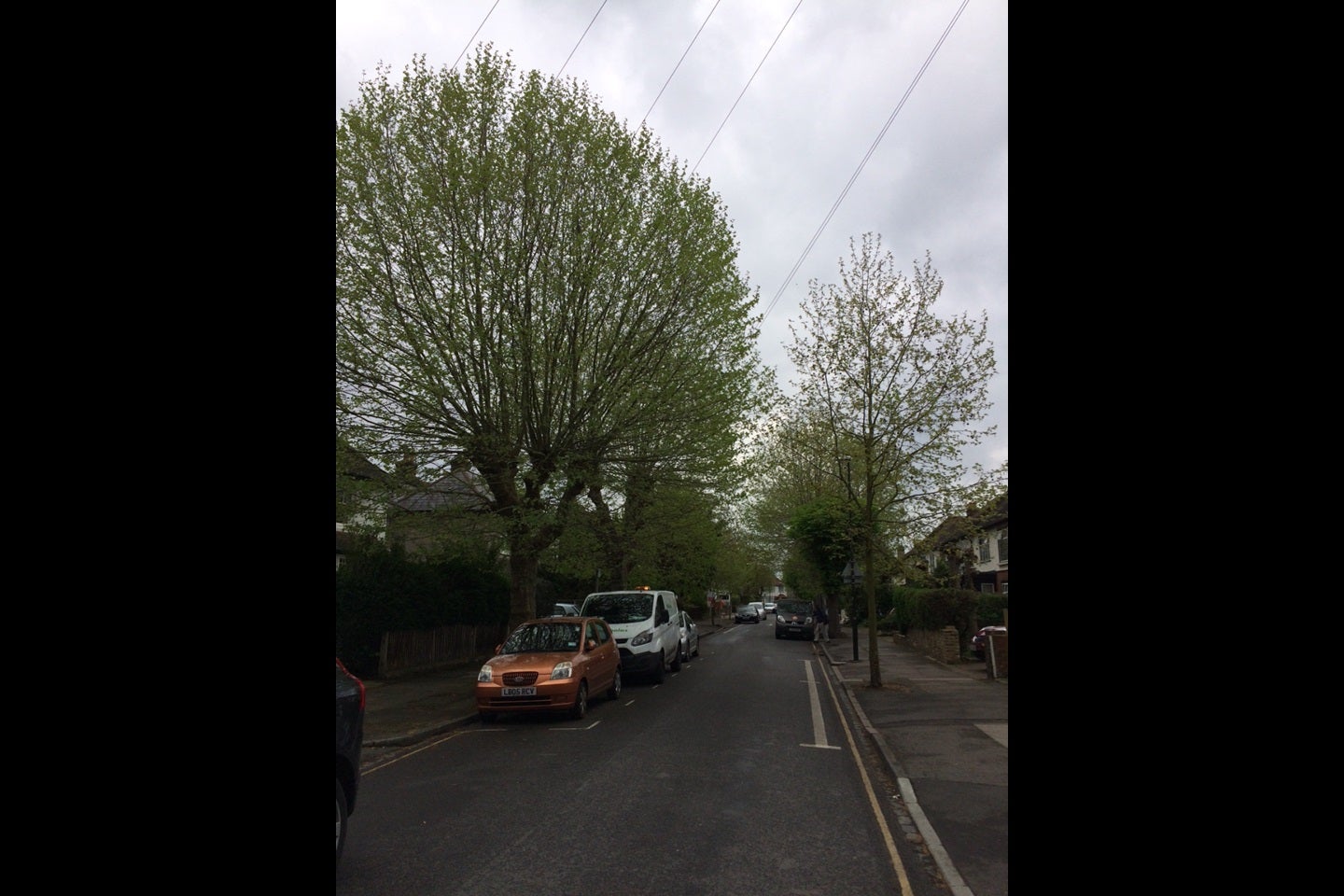 Flat Cricket Green in Greater London