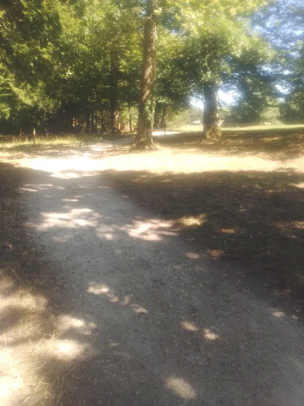 Room Avenue Gay-Lussac in Artigues-près-Bordeaux