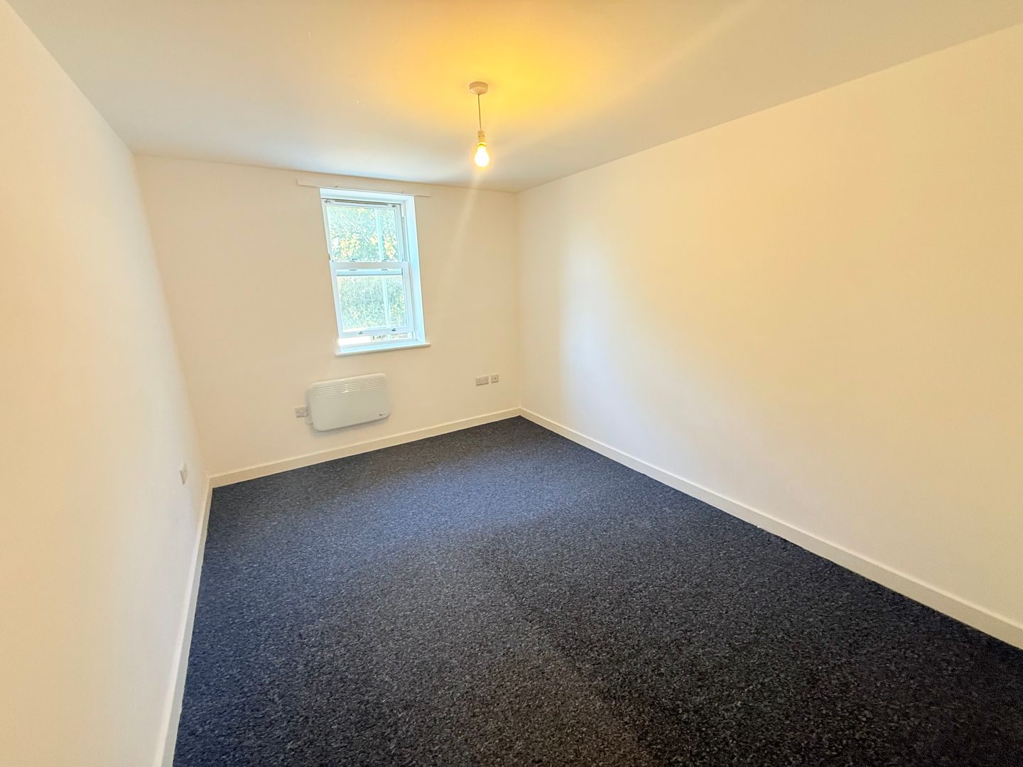 Flat Madeira Road in Weston-super-Mare