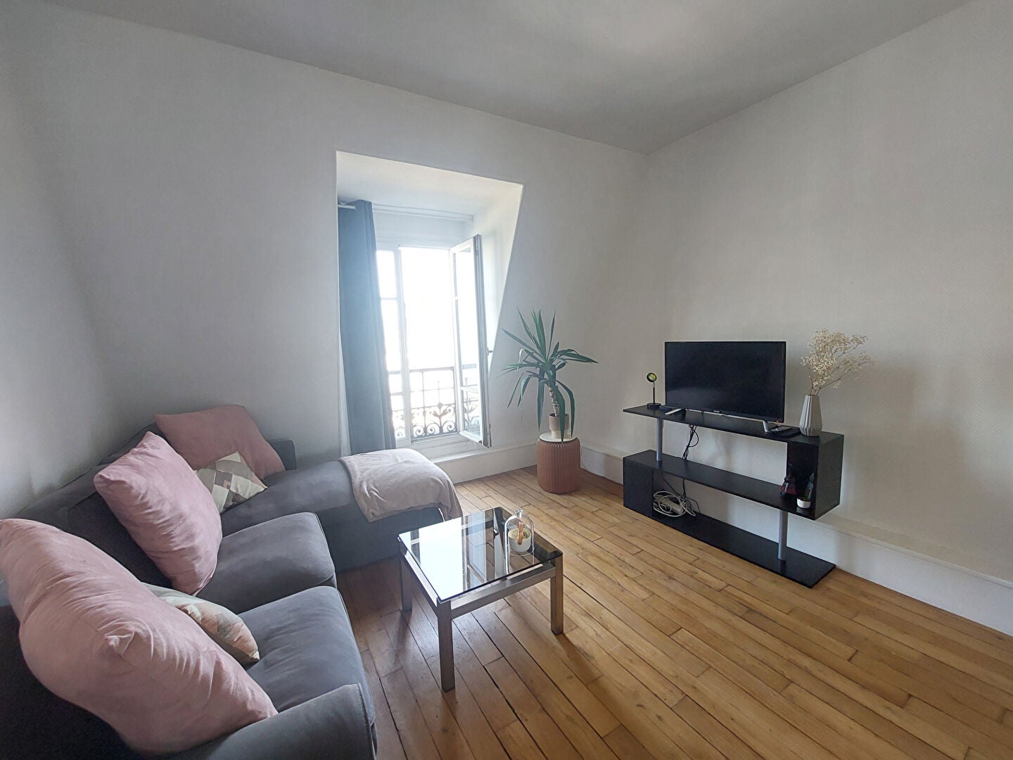 Flat Rue Lapeyrère in Paris