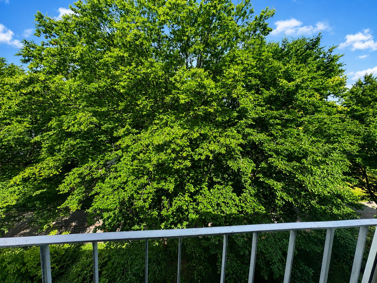Wohnung Kirchhofstraße in Berlin