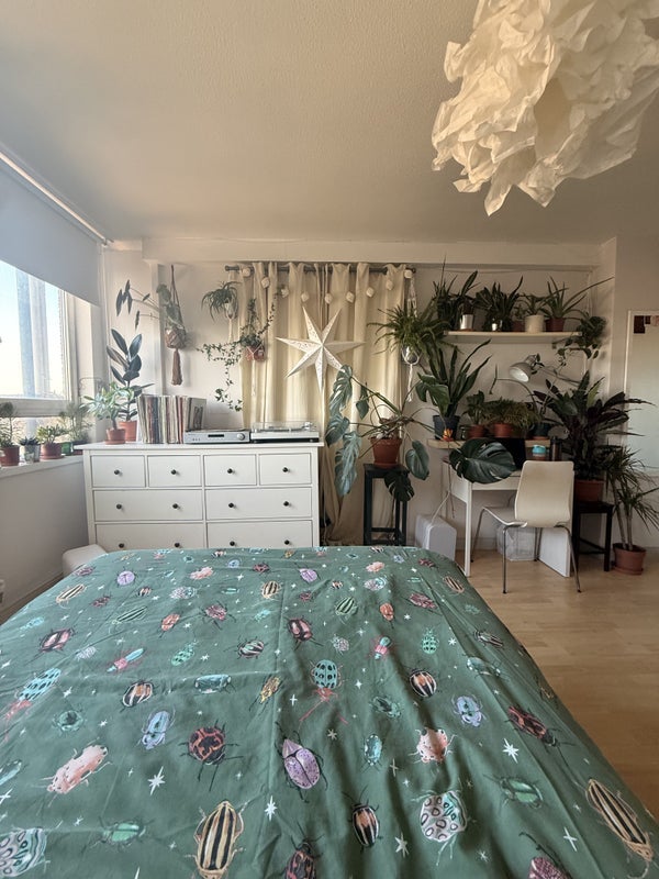 Room South Island Place in Greater London