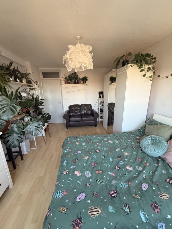 Room South Island Place in Greater London