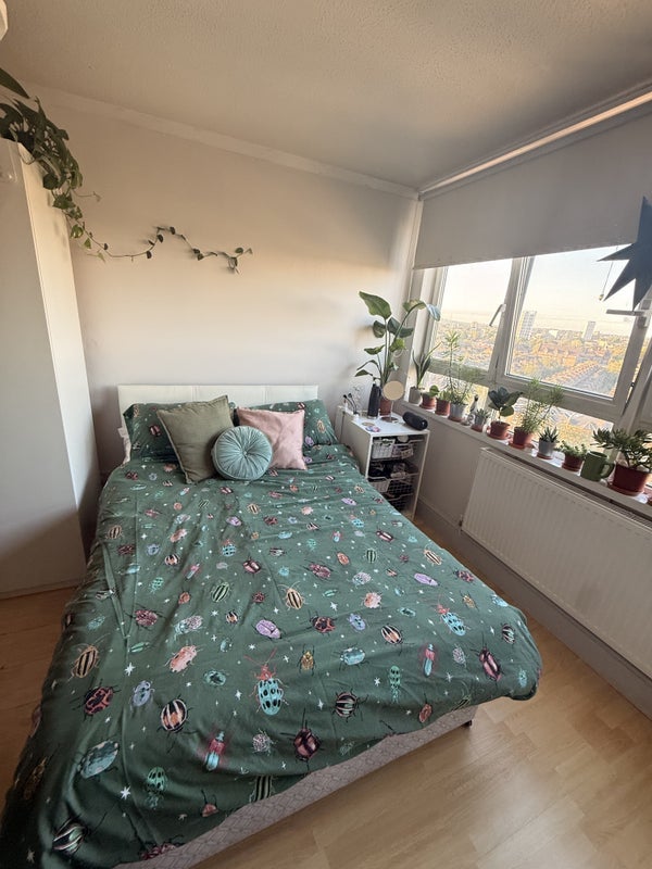 Room South Island Place in Greater London