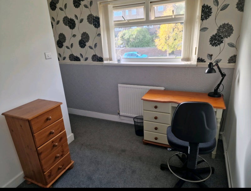 Room Harborough Avenue in Sheffield
