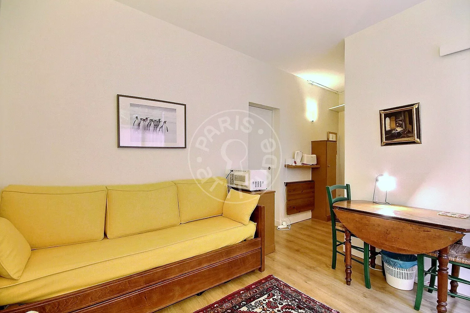 Flat Rue Laromiguière in Paris