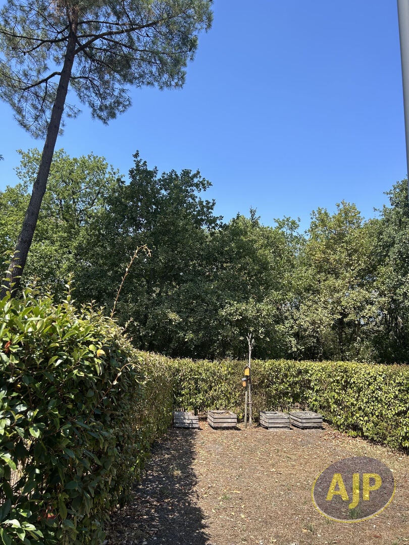 Flat Route de Sirguet in Monsac