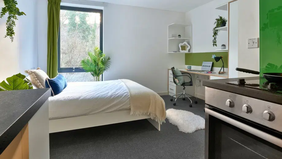 Room Flass Vale in Durham