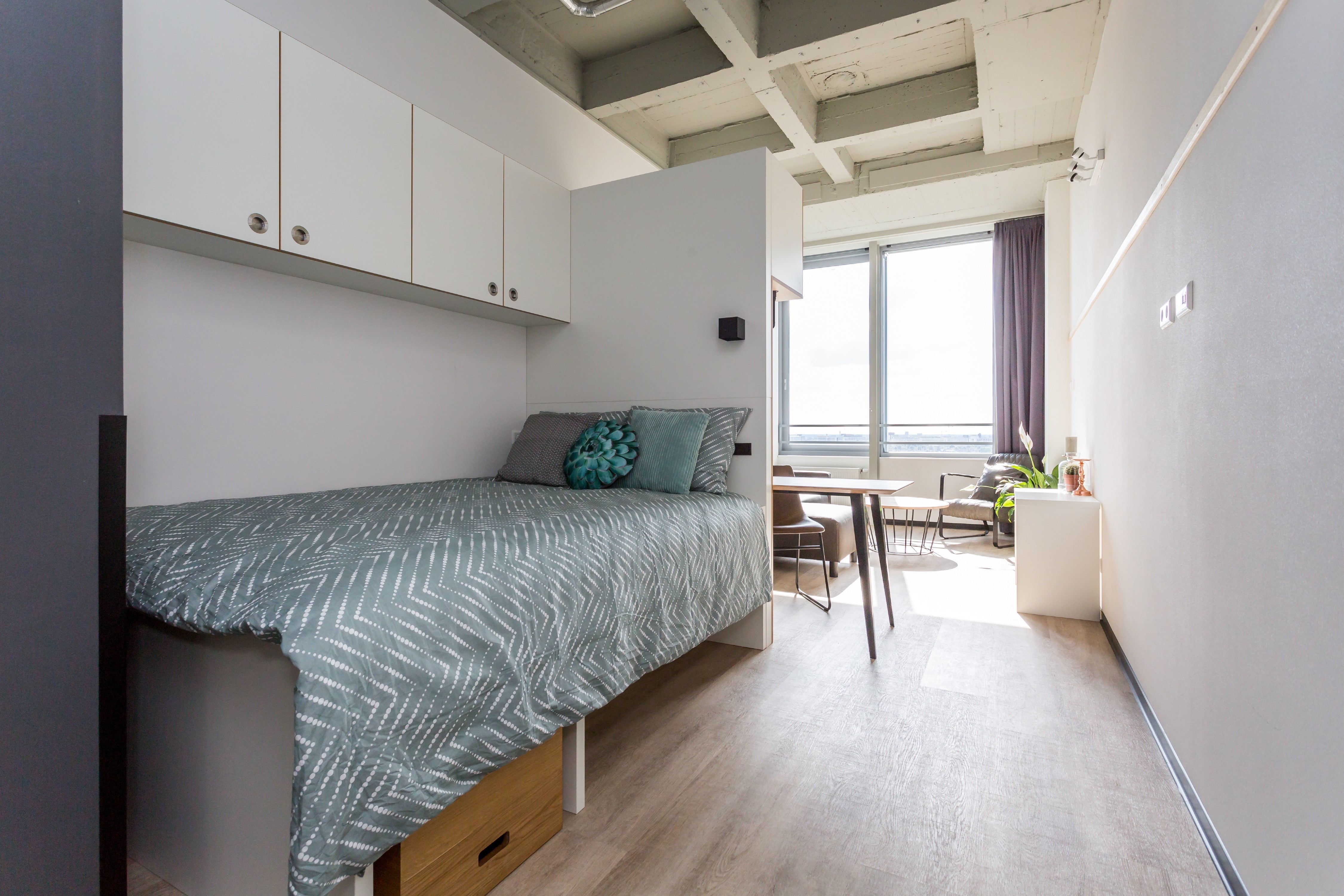 Appartement De Lampendriessen 31 1203 in Eindhoven