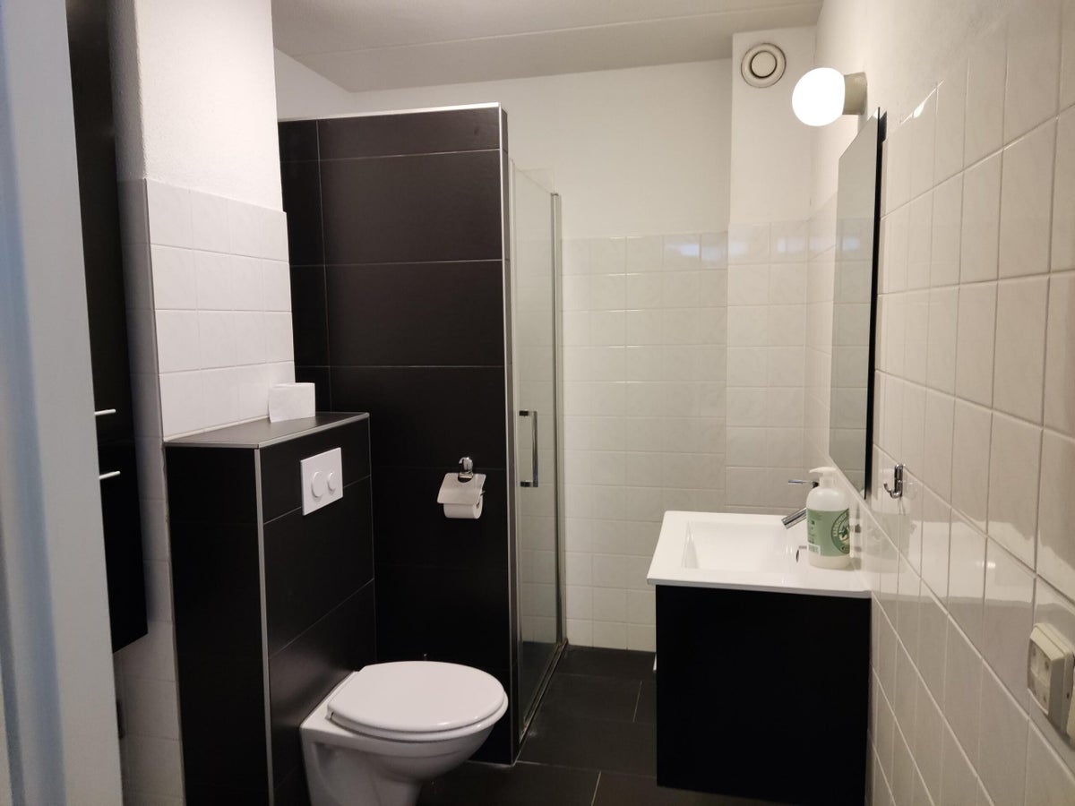 Woonhuis aan de De Rietgans in Hoogeveen (7905 GP)