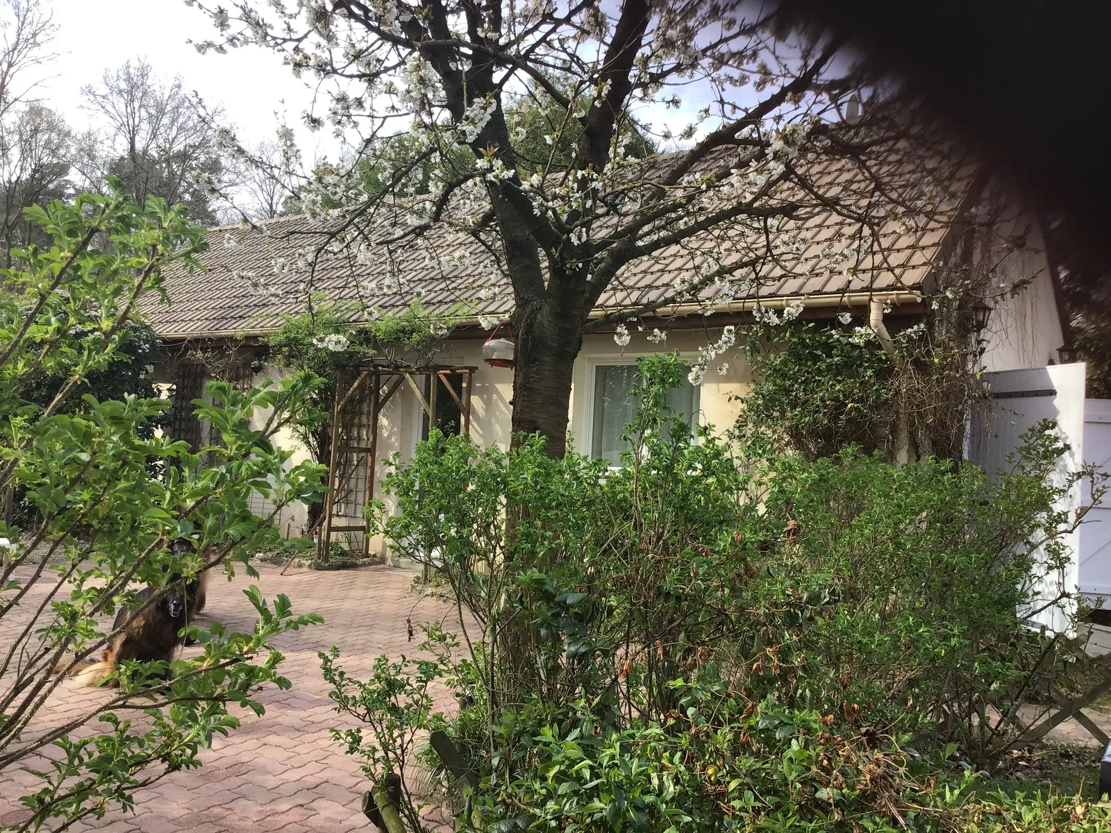 House Chemin de la Rigole in Montfort-l'Amaury