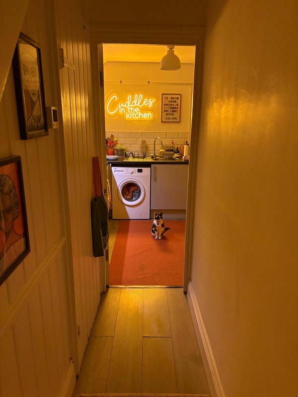 Flat Brooke Road in Greater London