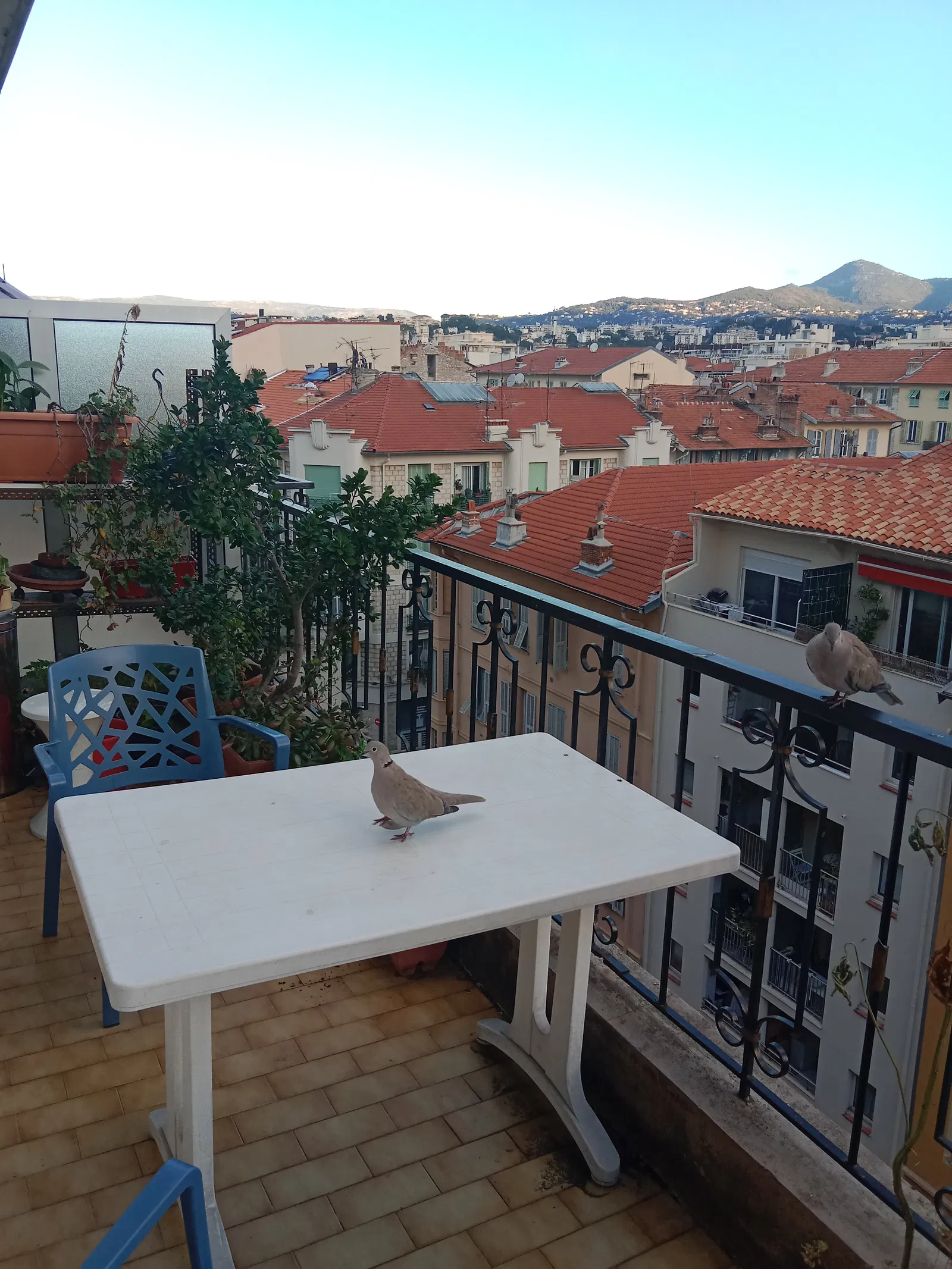 Room Place Arson in Nice