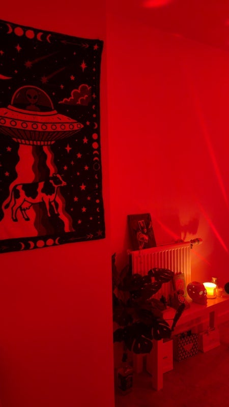 Room North End Road in Greater London