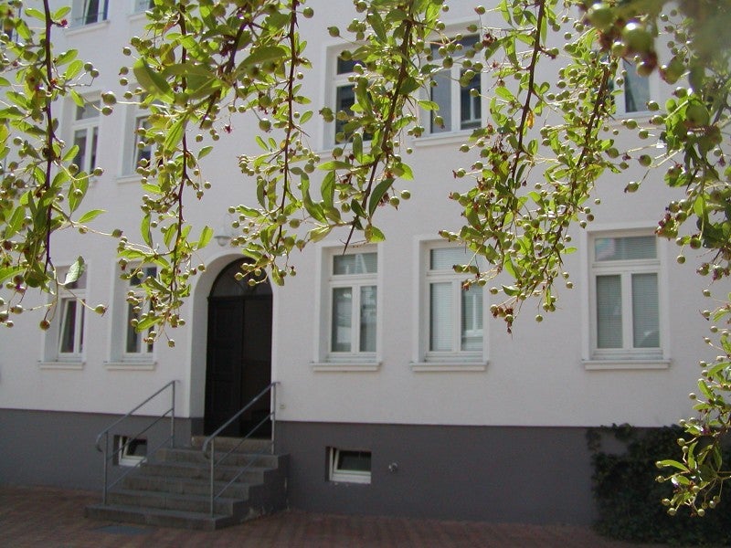 Wohnung Amalienstraße in Leipzig