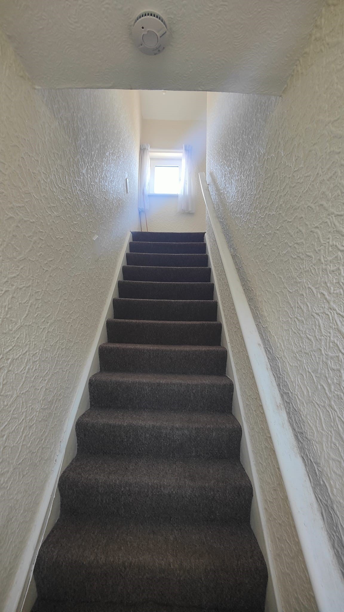 House Maple Street in Ashington