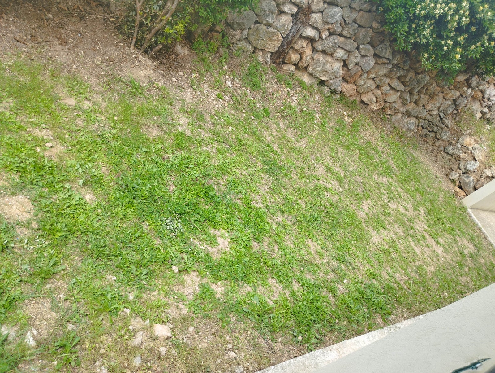 Maison Impasse des Santolines à Solliès-Toucas