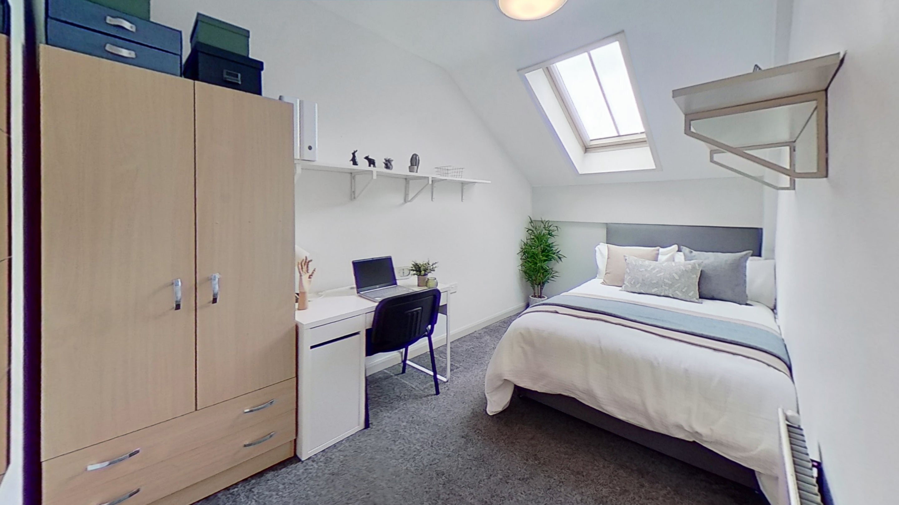 Room Mansfield Road in Nottingham
