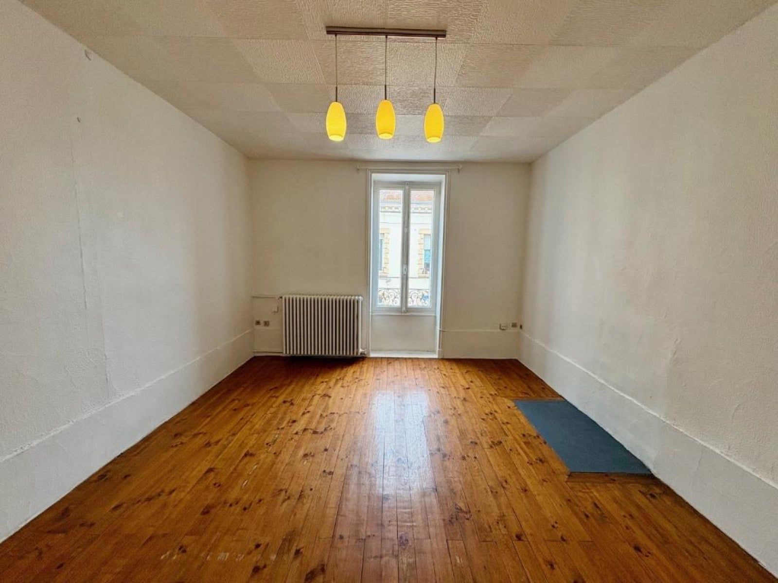 Appartement Rue Georges Plasse à Roanne
