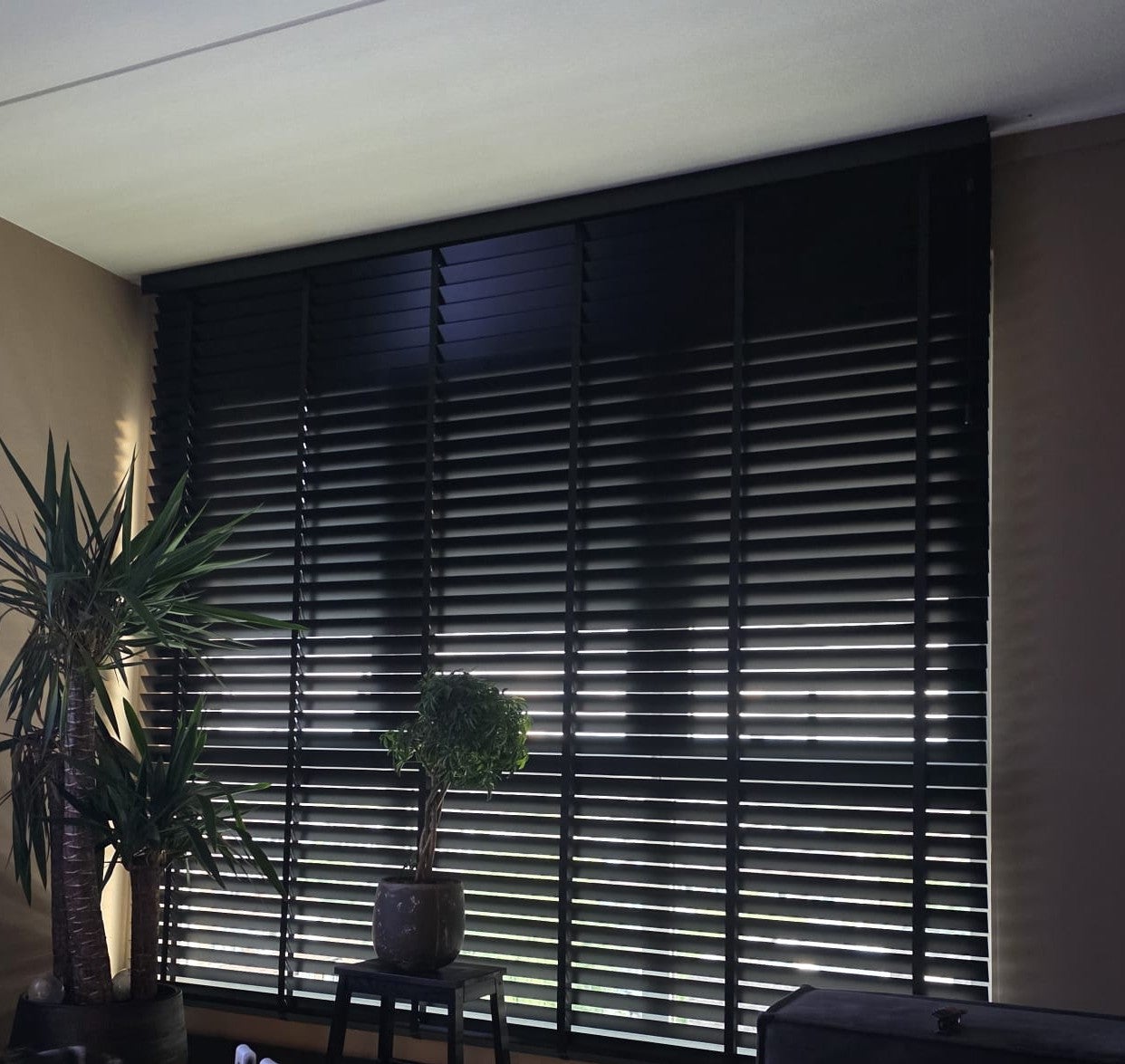 Appartement Kooilaan 41 H-3 in Leiden