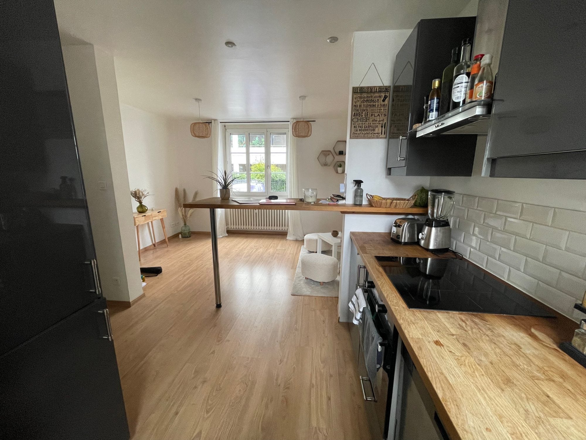 Flat Rue du Grand Couronné in Strasbourg