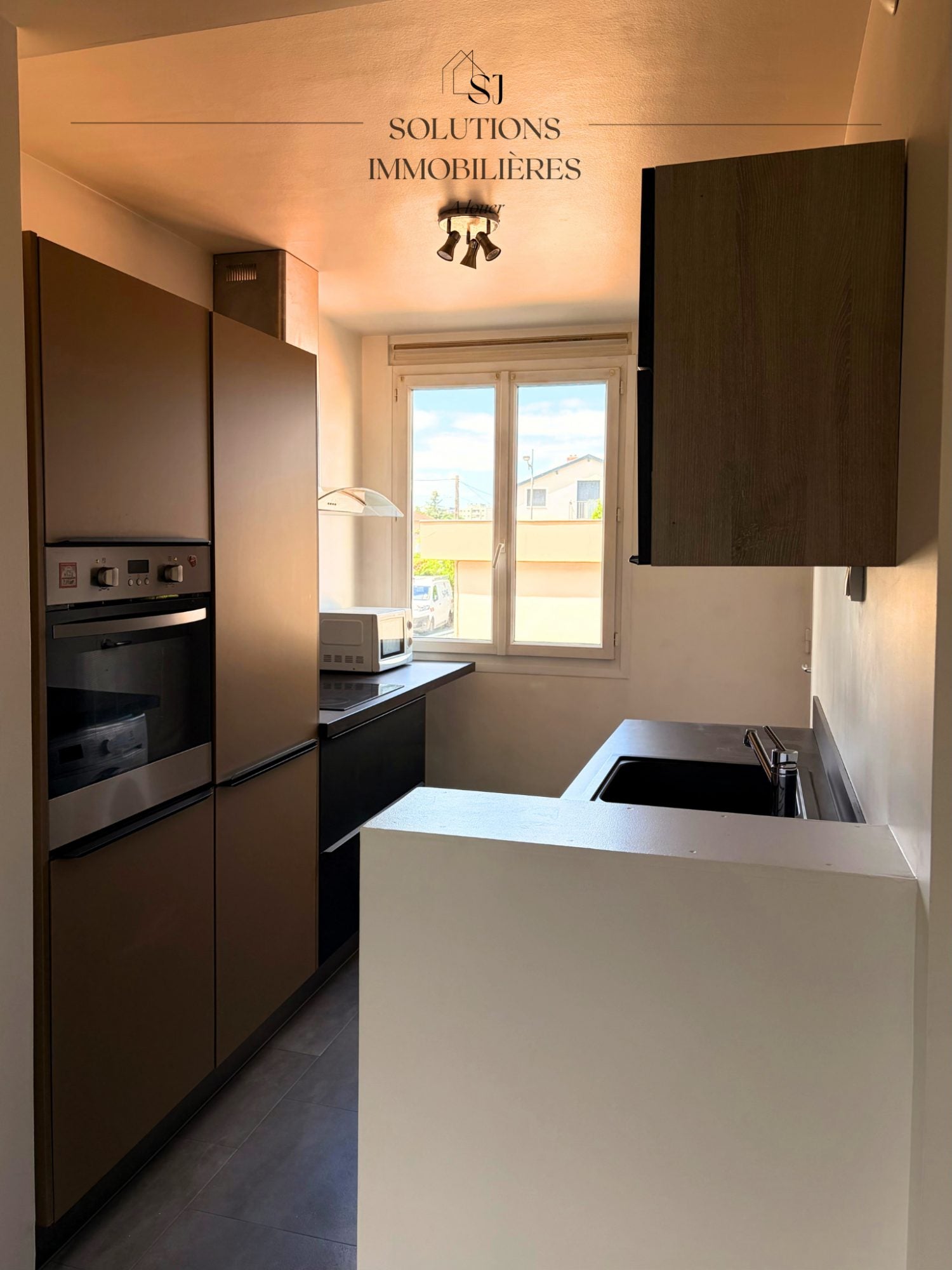 Flat Boulevard Laurent Bonnevay in Bron
