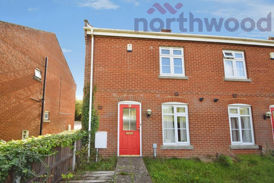 House Buddleja walk in Norwich