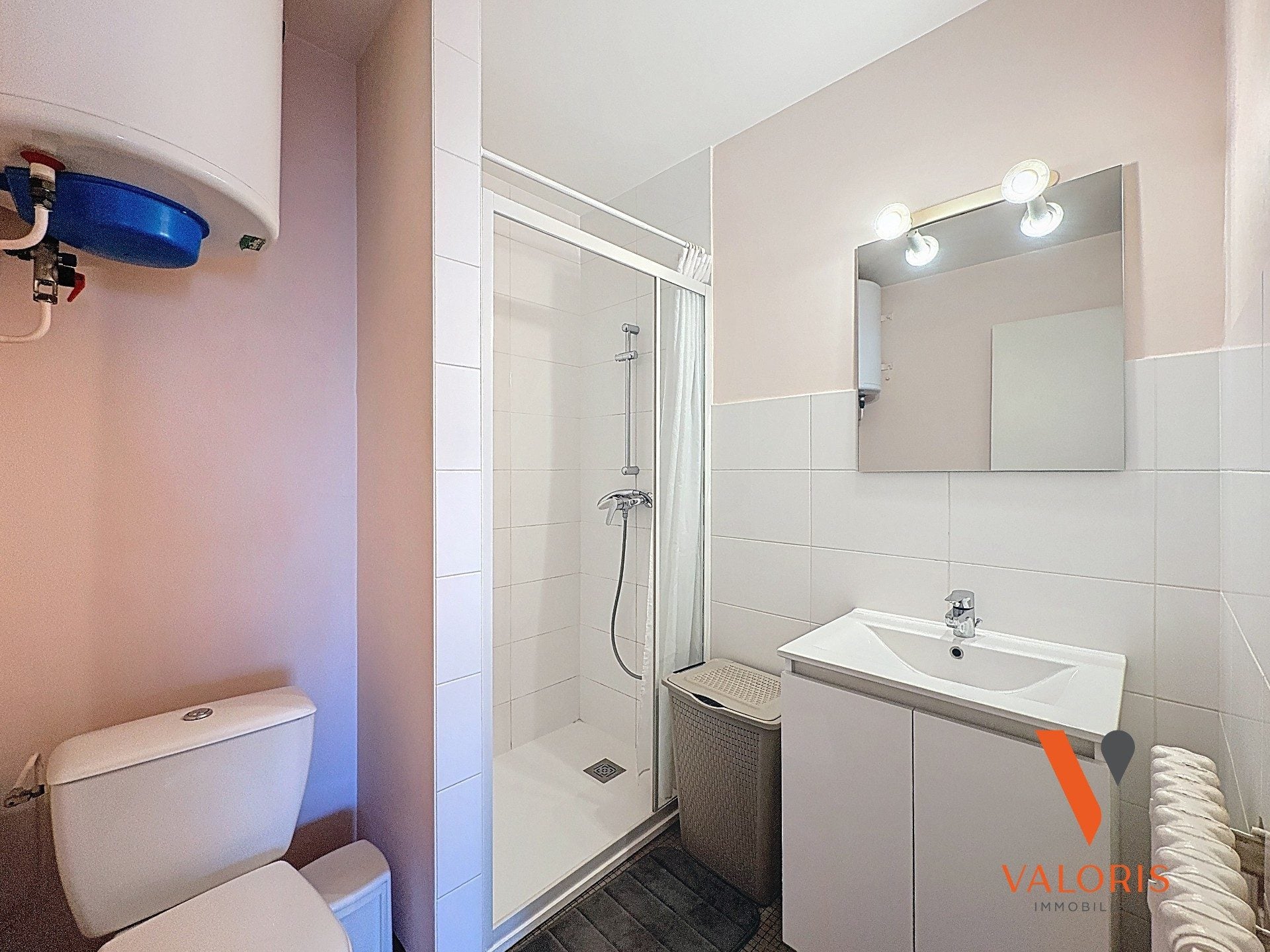 Flat Chemin Meney in Grenoble