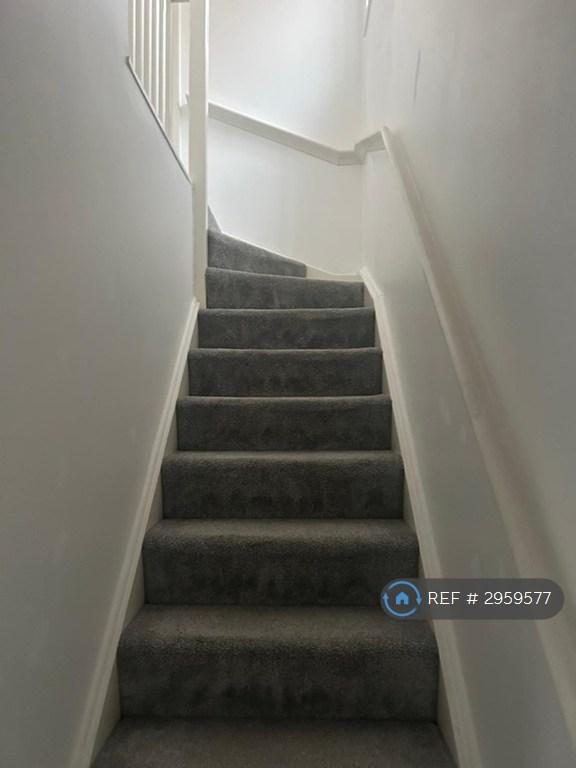 House Brough Field Close in Ingleby Barwick