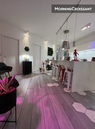 Flat Rue du Faubourg Saint-Martin in Paris