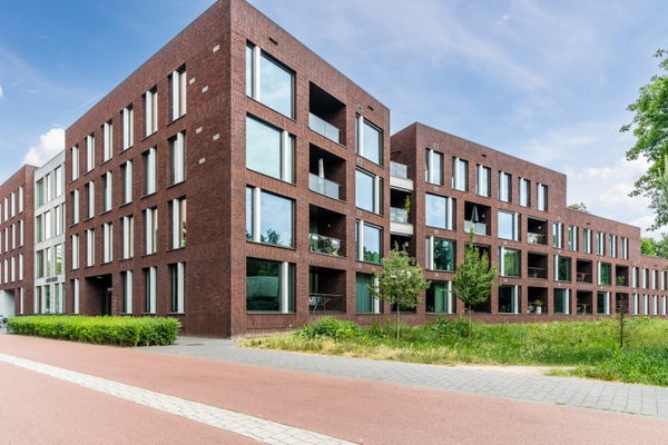 De Hoef