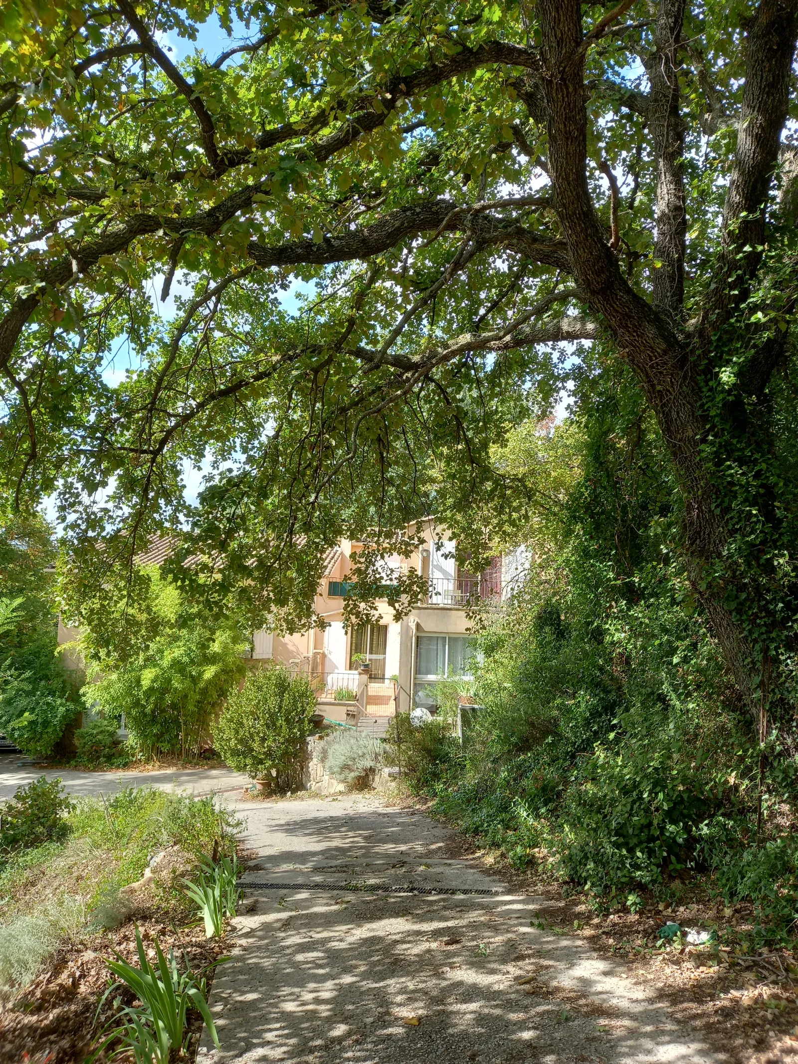 Room Chemin du Suberbet in Soubès