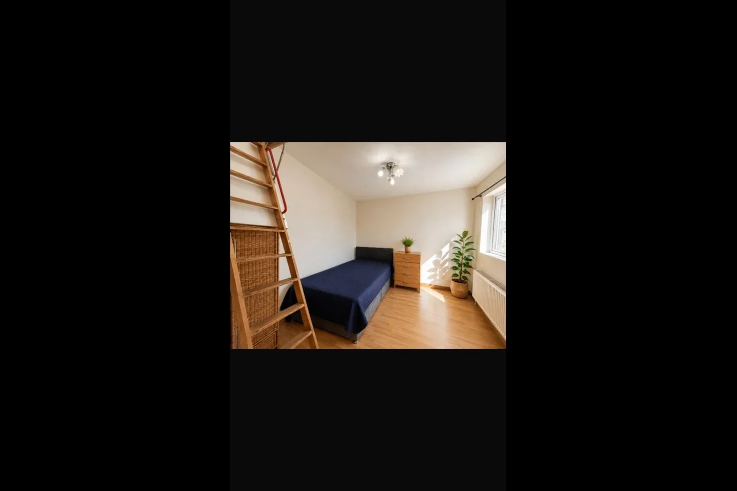 Flat Blackhorse Lane in Greater London