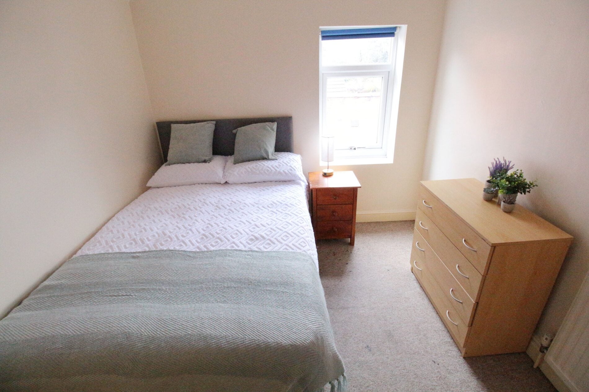 House Ventnor Terrace in Lincoln