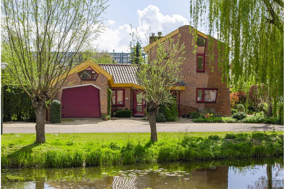 Knobbelzwaan 4