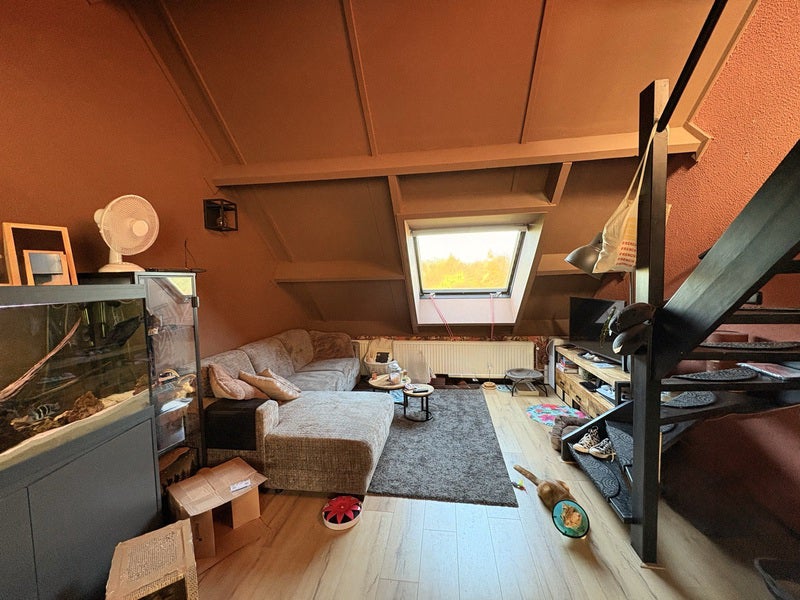 Flat Koningsbult in Eibergen