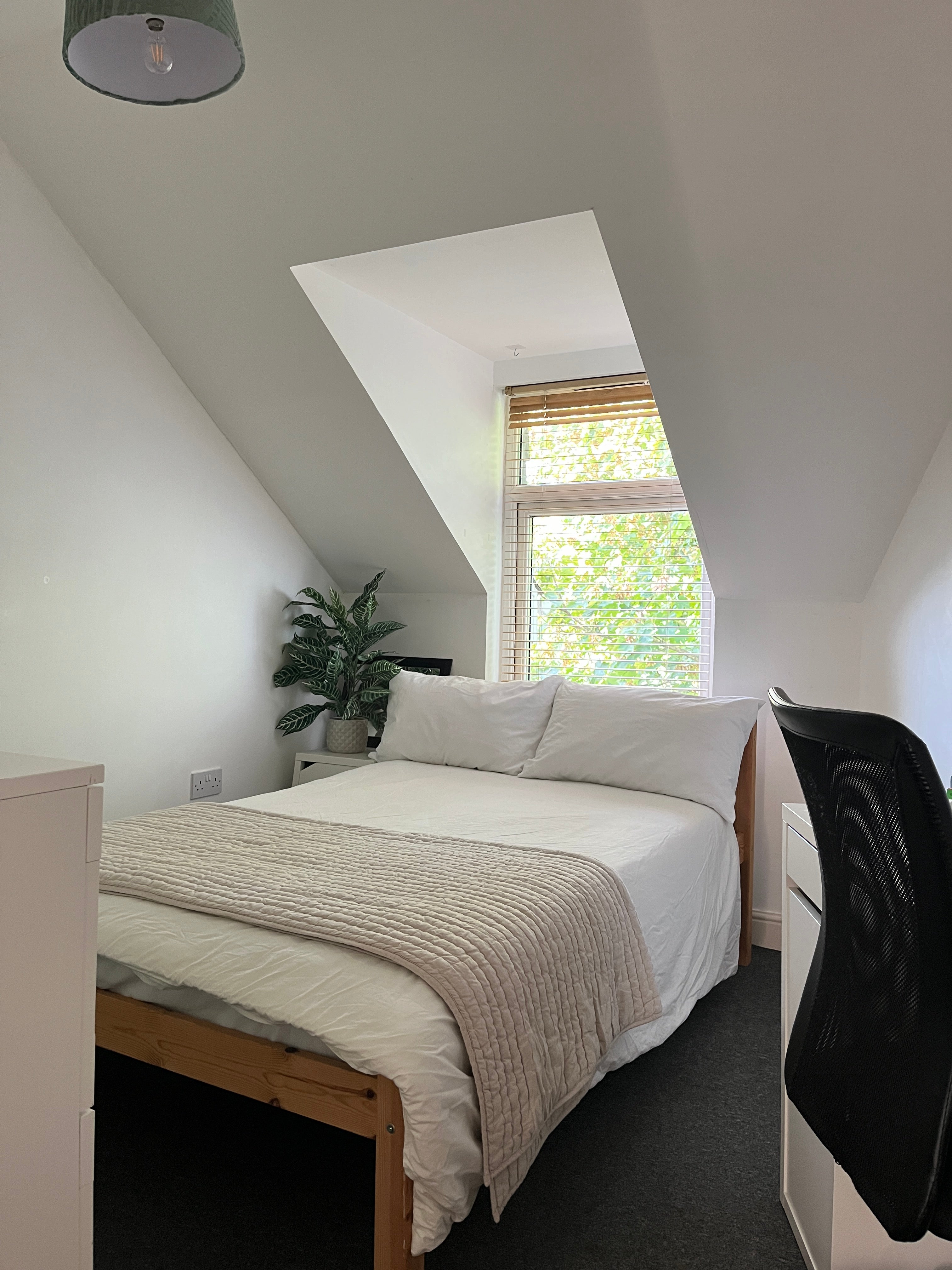 Room Abingdon Road in Plymouth
