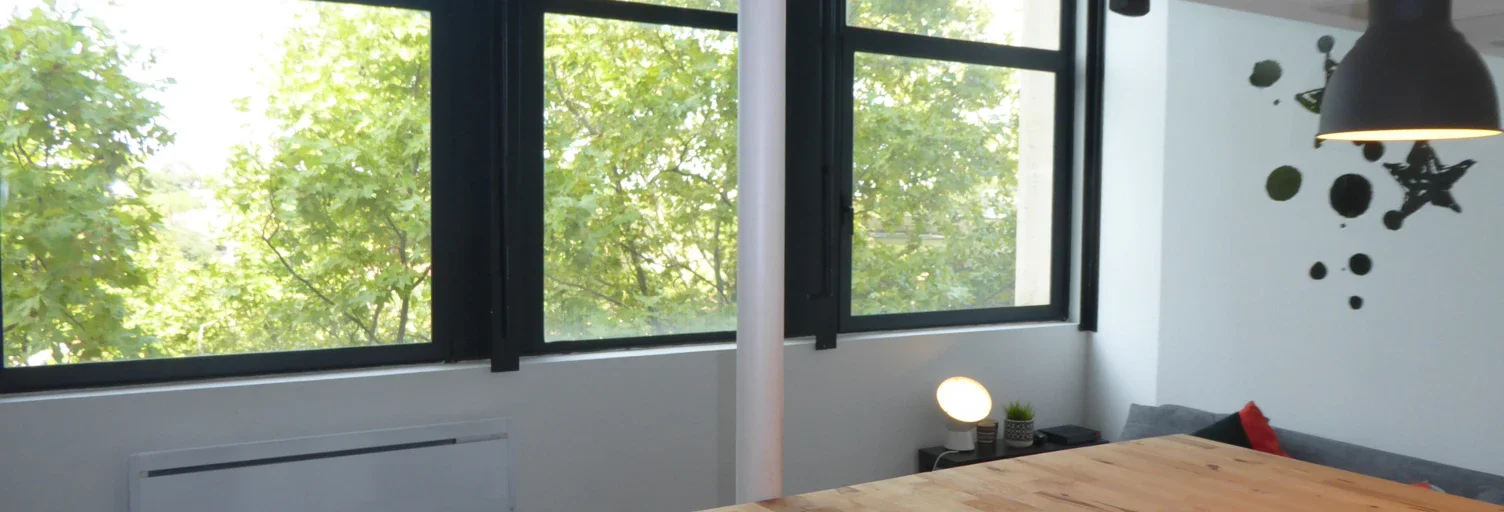 Appartement Rue Auguste Broussonnet à Montpellier