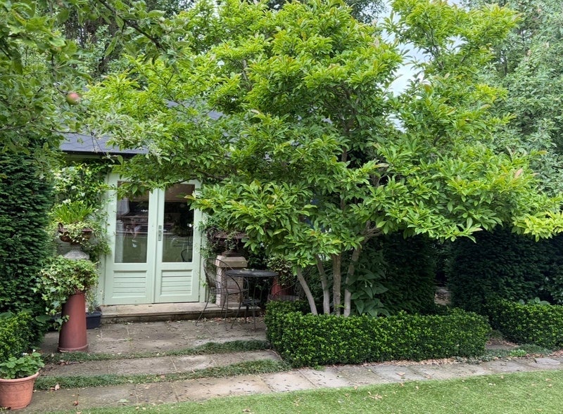Flat East Sheen Avenue in Greater London