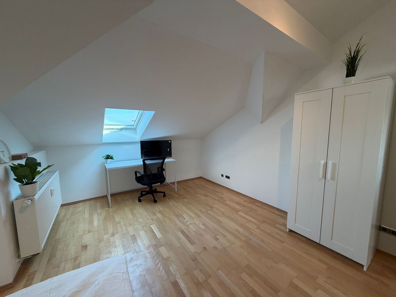 Wohnung Wörthstraße in Bamberg