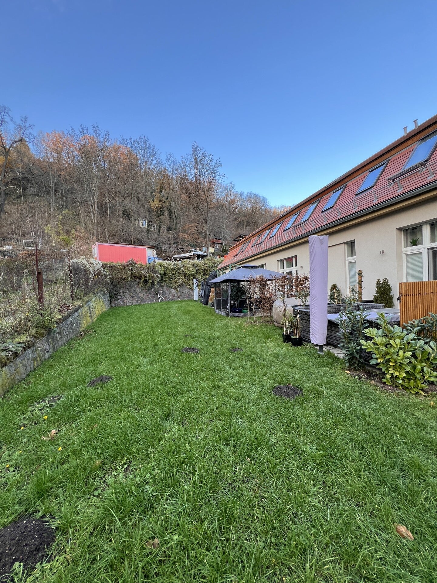 Wohnung Wiener Straße in Dresden