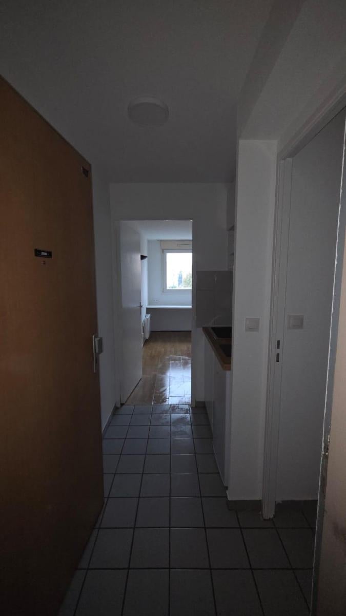 Appartement Cours Émile Zola à Villeurbanne