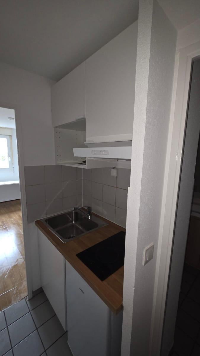 Appartement Cours Émile Zola à Villeurbanne