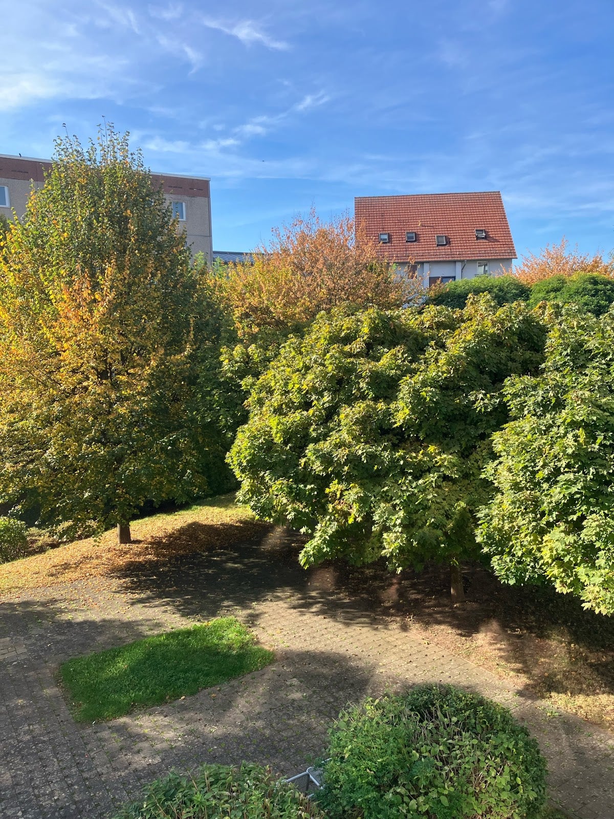 Wohnung Gottfried-Erich-Rosenthal-Straße in Nordhausen
