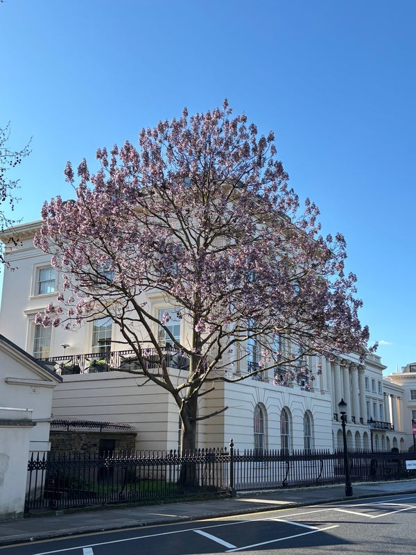 Flat Park Road in City of Westminster